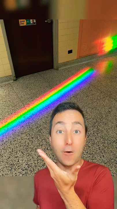 The Most Satisfying Things Seen at School