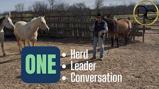 When the Herd Starts Thinking Together