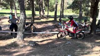 IMG 4854