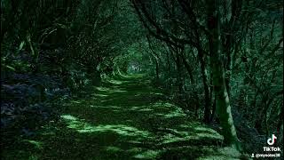 Reflection Of The Sun