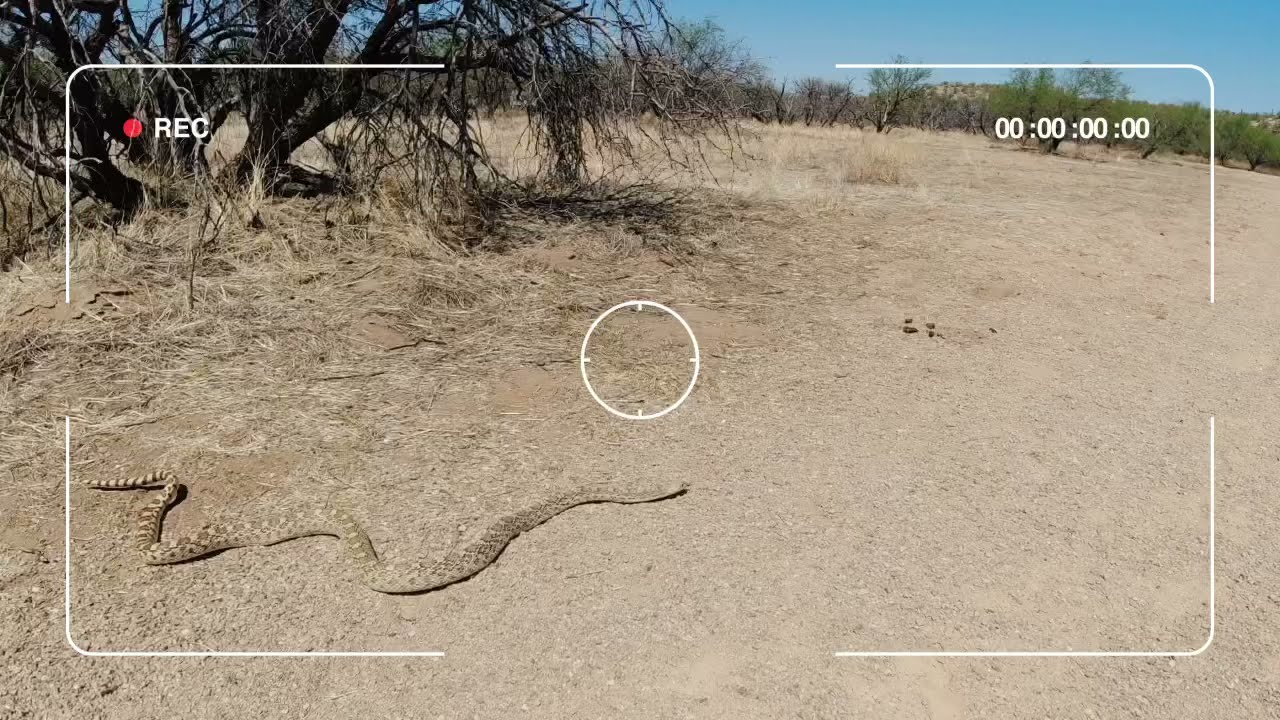 MTB - 50 year trail from Catalina State Park, AZ
