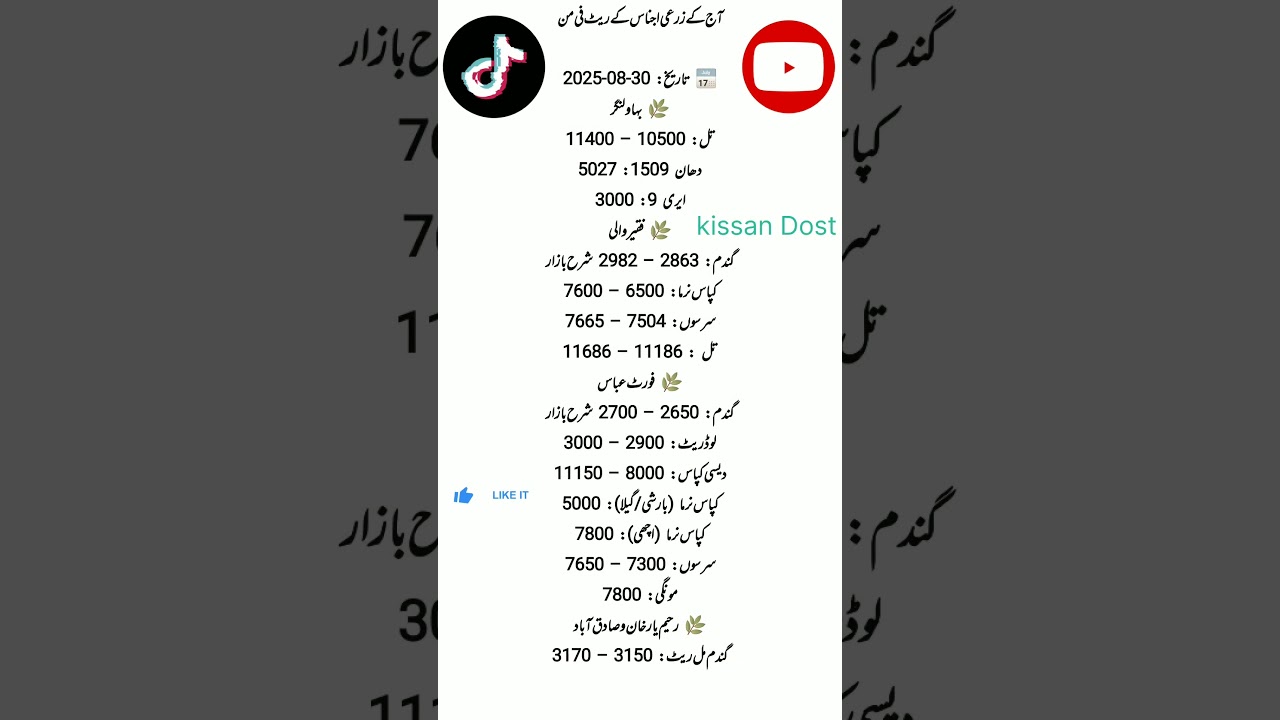 Today Grain Market rates. 