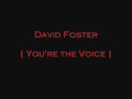 David Foster - You´re The Voice