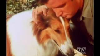 2 Rangesr Lassie (Season 16 Eps.21 Whitewater Fury)