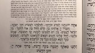 Ata Chonantantu אתה חוננתנו Havdala In Mariv Prayer Shmonah Esreh Said After Shabbos