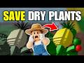 How To Save Dry Plants in Grow a Garden 2