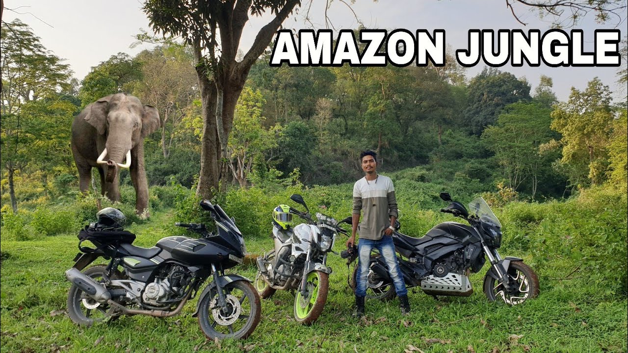 Inside the Amazon Rainforest | Amchang Wildlife Sanctuary