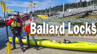 Kayaking though Seattle's Ballard Locks | Adventures on the Puget Sound | Sea Lions and Seals