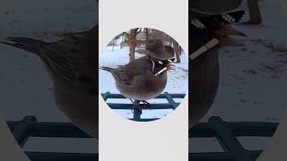 Dwayne Has Got To Go