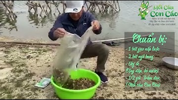 Con Cáo: Bài mồi Câu cá Trắm đen và cá chép áp dụng cho mùa đông và mùa xuân rất hiệu quả