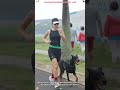 One Friend – One Amazing Protector 🐕 #dog #shortvideo #guard