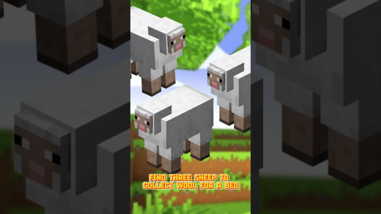 Minecraft: How to Survive Your First Night 