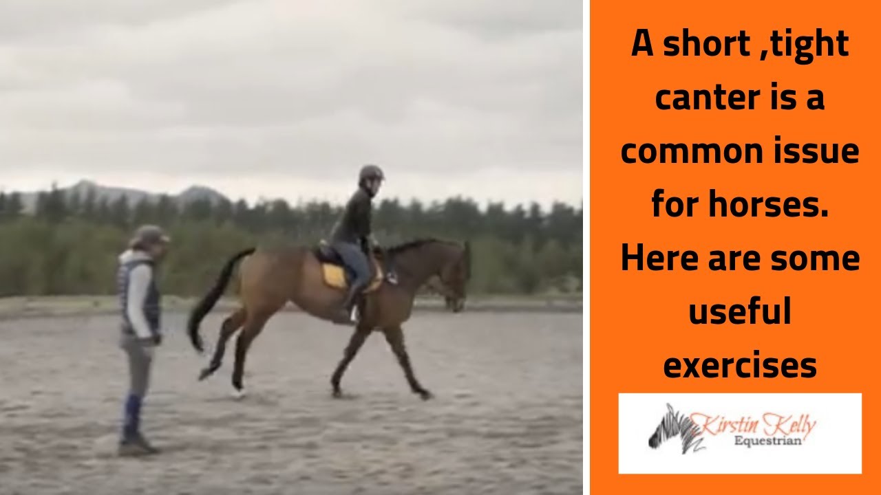 Here Are Some Exercises To Help You Ride Smooth Canter Raising Canter