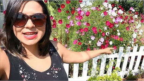 Como cercar meu jardim?
