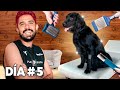 DÍA DE SPA Y MASAJES PARA MI PERRITA | EPISODIO 5 DE 10