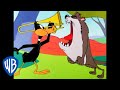 Looney tunes  daffy vs taz  classic cartoon  wb kids