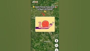 Giant Human Face Snail In Real Life Found  On Google Maps And Earth #shorts #earth #maps
