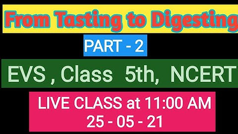 From Tasting to Digesting PART - 2 Class 5 EVS