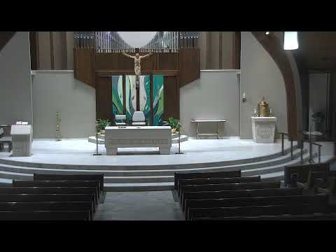 8:00 AM Weekday Mass - July 21, 2026