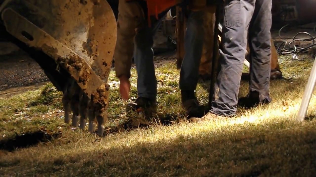 Monroeville Water Authority in Action at a Water Main Break Part 1