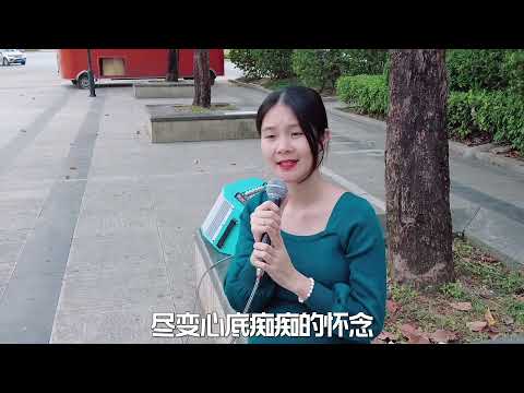 张国荣-别话