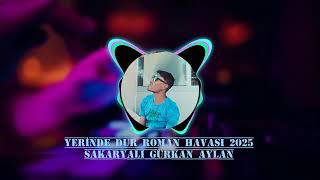 DEMET AKALIN YERİNDE DUR ROMAN HAVASI 2025 (Sakaryalı Gürkan Aylan)