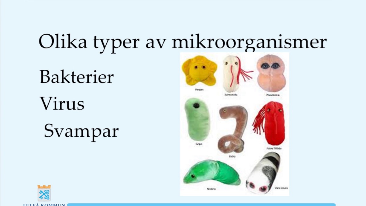 basal hygien rutiner basal hygien rutiner