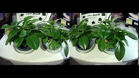 ELP Dual lens 960p usb camera