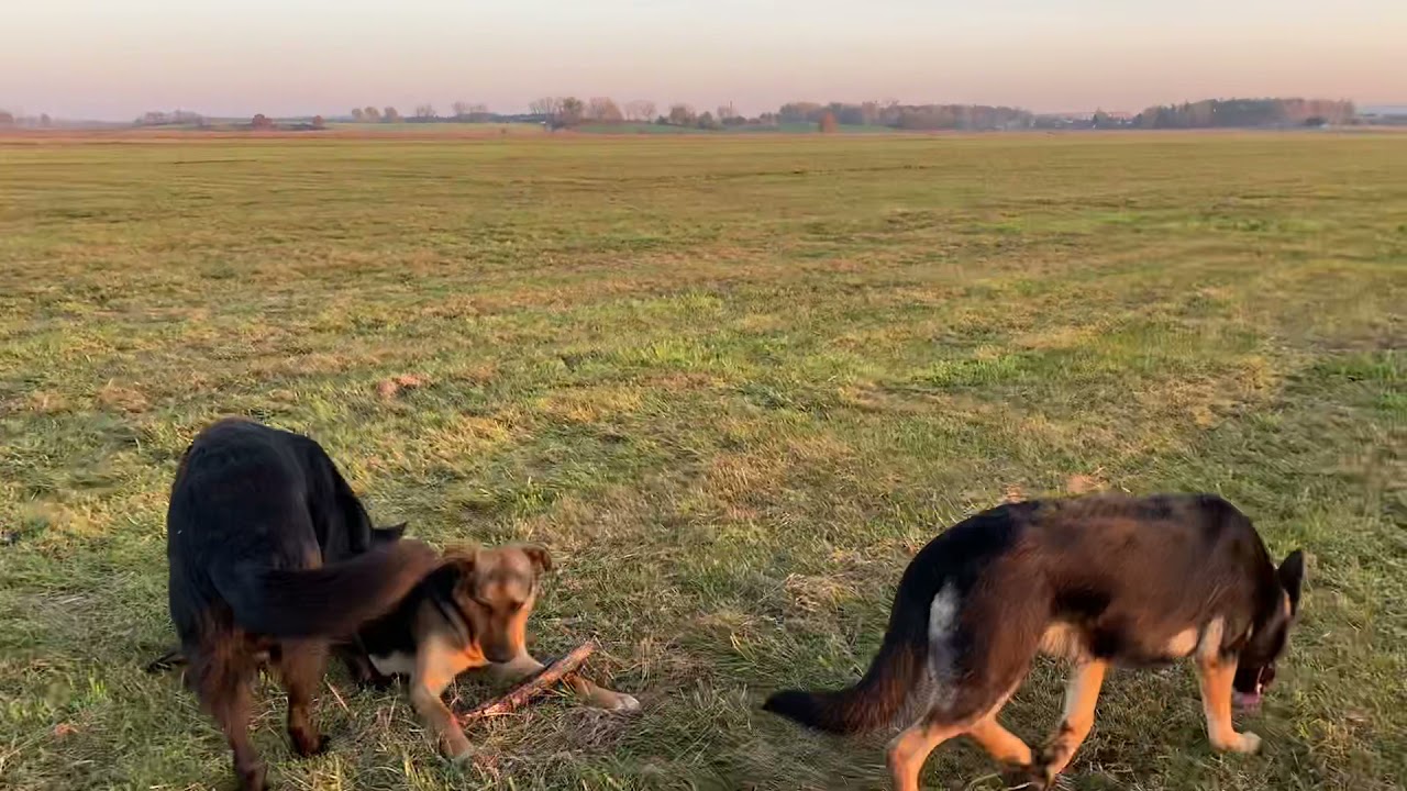 Wann bin ich mit der Erziehung eigentlich fertig