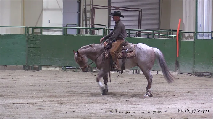 Metallic Metal  - 150 - Open Hackamore - NRC&CHA D...