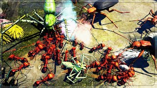 I USED FIRE ANTS To DEFEND Our QUEEN From ENDLESS OVERPOWERED BUGS in Empires Of The Undergrowth