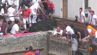 Tv Carcastillo - 05/08/2025 - Toro salta al publico!!