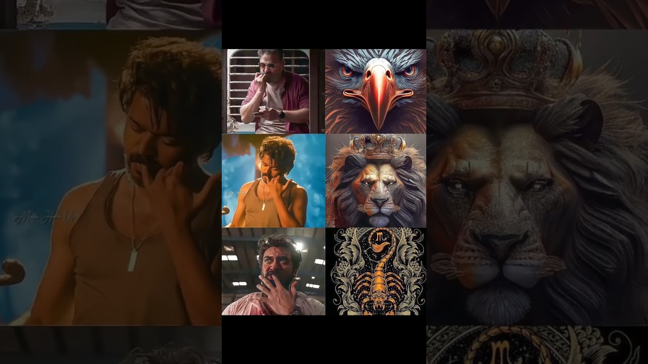 Leo Today Update | Thalapathy 67 | LCU Confirm | Tamil | Infact Cmd