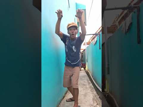 kucing jadi monster buah naga