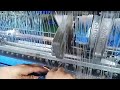 How to connect yarn to raschel machine