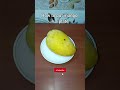 How to put a mango in a plate #mango #fruit