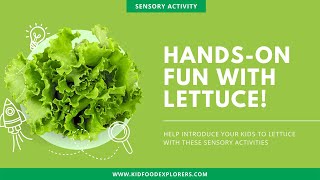 Using hands-on sensory play to introduce your kids to lettuce!
