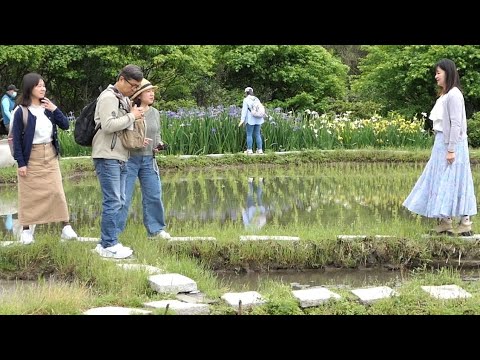 大家來唱詩歌(補充本450首：盼望何等堅定)拍攝地點：(石門百年梯田)2025年6月25日