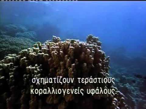 Η αρχή του Ωκεανού (ντοκιμαντέρ)