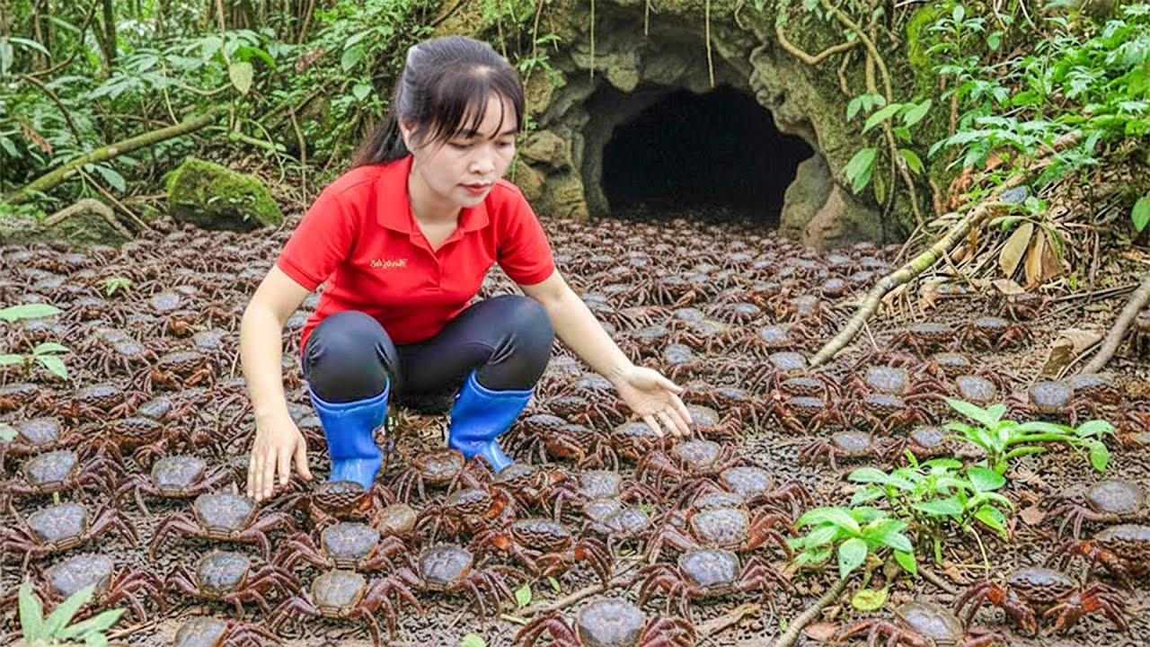 Capturei Caranguejos-de-Pedra em Cavernas Misteriosas da Floresta e Levei ao Mercado – Vida Remota