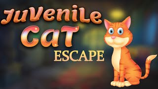 G4K Juvenile Cat Escape Game Walkthrough screenshot 4