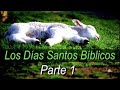 Días Santos Bíblicos   Parte 1