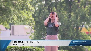 ‘Tree geek’ helps revive an effort to protect Charlotte’s towering treasures