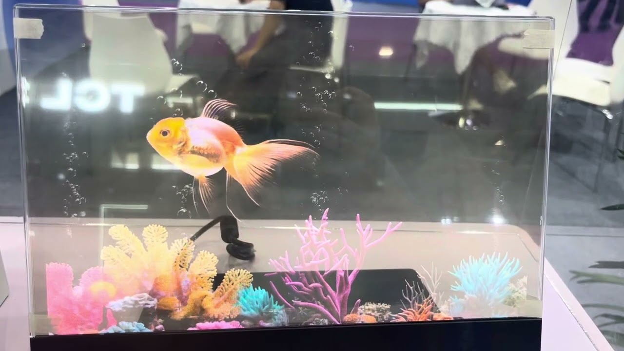 Eurotech transparent display show