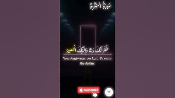 اكتب شيء تؤجر عليه 🤍 🤲🏻 #quran #اسلام #قرآن #راحة_نفسية #سورة_البقرة