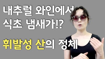 휘발성 산 | 볼라틸 아시드 | 식초 냄새가 나는 내추럴 와인의 정체를 알려드려요