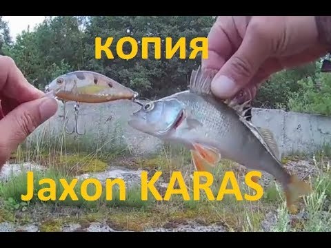 Копия воблера Джексон Карась (JAXON KARAS ) с АлиЭкспресс. Новинка 2018 ...