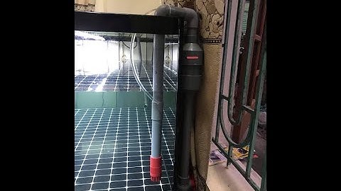 HƯỚNG DẪN LẮP BỘ OVERFLOW VÀO BỂ CÁ