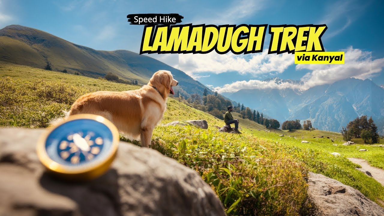 Lamadugh Trek Manali (2025) | Best Day hike for beginners | Trekking in Manali
