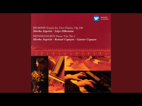Putar Mendelssohn: Piano Trio No. 1 in D Minor, Op. 49, MWV Q29: III. Scherzo. Leggiero e vivace (Live) - Renaud Capuçon